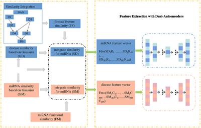 Prediction of miRNA-disease associations in microbes based on graph convolutional networks and autoencoders